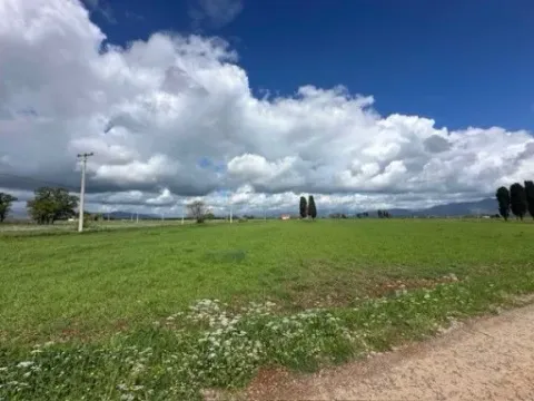 Prodaja, plac, 100000m², Zeta, Podgorica - image 2