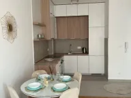 Izdavanje, jednosoban stan, 46m², Mažina, Tivat - image 3