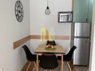 Izdavanje, dvosoban stan, 54m², Grbavica, Novi Sad Sve Podlokacije - image 4