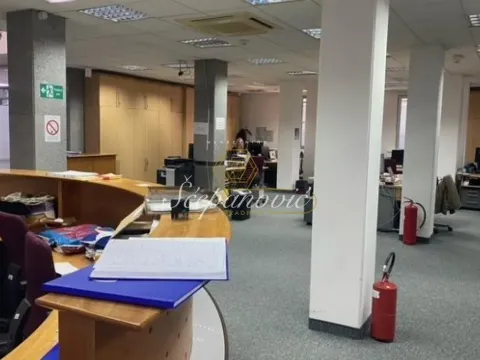 Izdavanje, poslovni prostor, 353m², Bulevar Oslobodjenja, Novi Sad Sve Podlokacije - image 11