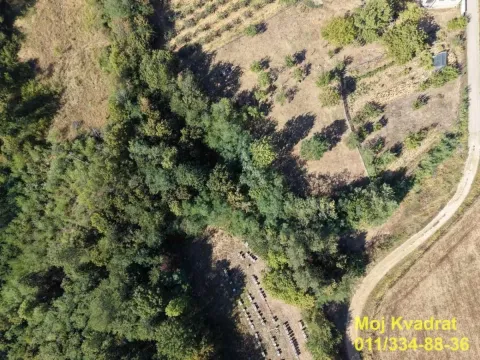 Pogled iz vazduha na zemljište sa drvećem i rastinjem. - image 6