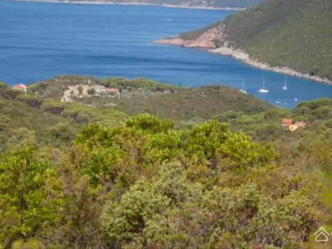 Prodaja, plac, 6500m², Žanjić, Herceg Novi