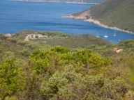 Sale, land lot, 6500m², Žanjić, Herceg Novi - image 1