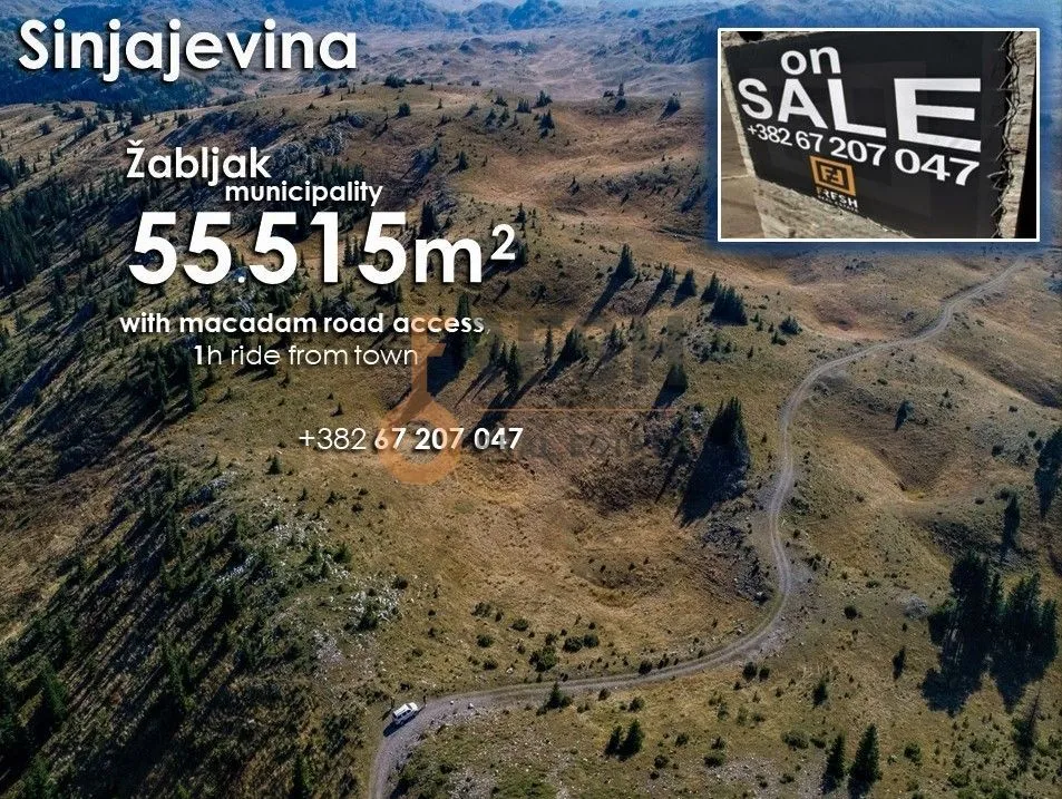 Prodaja, plac, 55515m², Žabljak, Crna Gora