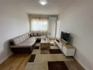 Izdavanje, jednosoban stan, 47m², Central Point, Podgorica - image 10
