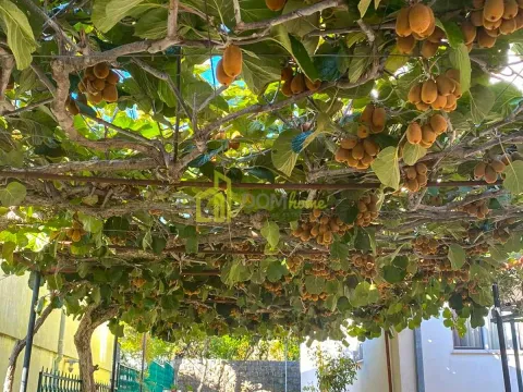 Sale, house, 300m², Dobre Vode, Bar - image 12