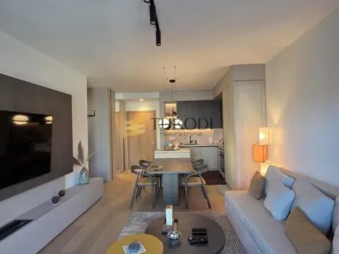 Izdavanje, dvosoban stan, 54m², Savski Venac, Beograd - image 3