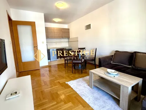 Rent, one bedroom apartment, 45m², Stari Aerodrom, Podgorica - image 3