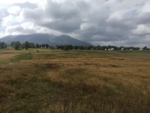 Prodaja, plac, 5435m², Žabljak, Crna Gora - image 5