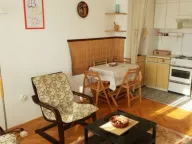 Izdavanje, jednosoban stan, 40m², Preko Morače, Podgorica - image 1