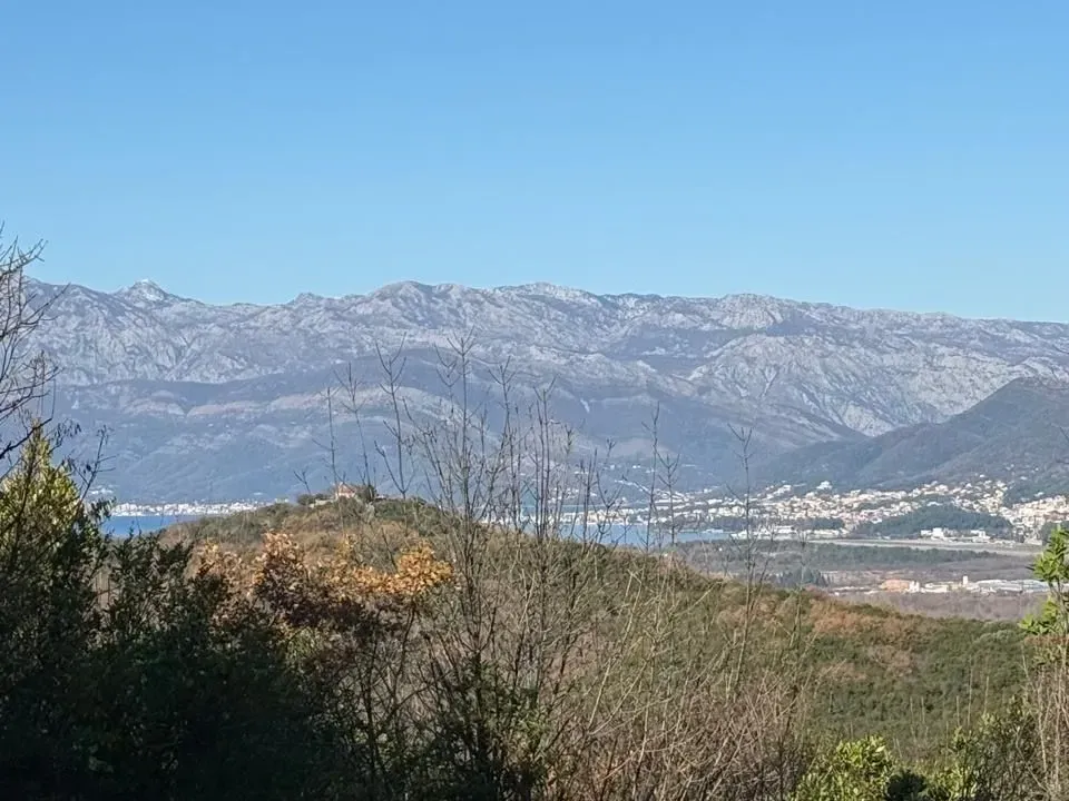 Prodaja, plac, 16880m², Radanovići, Kotor