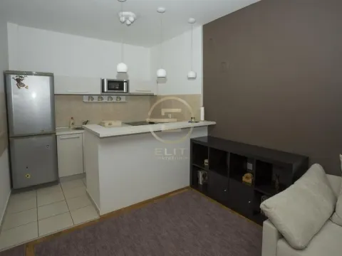 Rent, two bedroom apartment, 60m², Bulevar Evrope, Novi Sad Sve Podlokacije - image 5