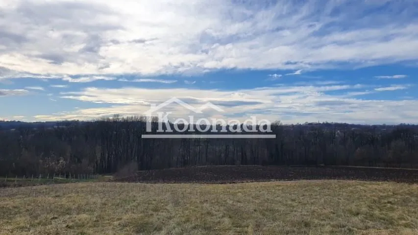 Prodaja, plac, 8000m², Dučina, Sopot