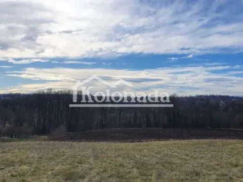 Prodaja, plac, 8000m², Dučina, Sopot - image 3