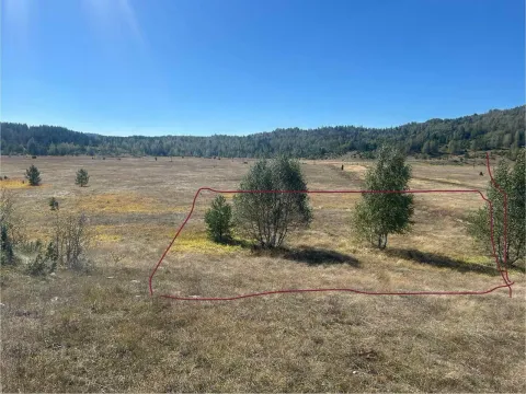 Sale, land lot, 1940m², Žabljak, Crna Gora - image 2