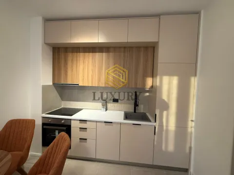Rent, one bedroom apartment, 38m², Zabjelo, Podgorica - image 3