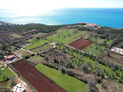 Sale, land lot, 3520m², Krimovica, Kotor - image 2