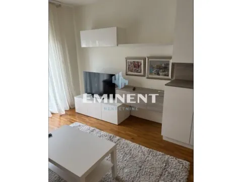Rent, two bedroom apartment, 55m², Južni Bulevar, Vračar Sve Podlokacije - image 2