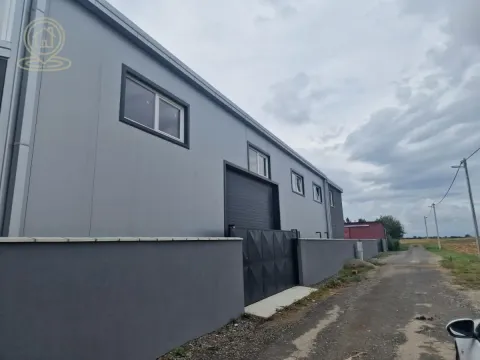 Rent, office space, 300m², Veternik, Novi Sad Sve Podlokacije - image 7