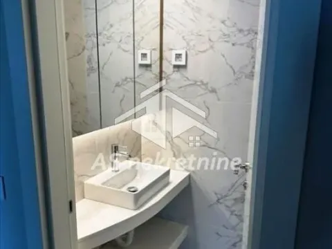 Izdavanje, dvosoban stan, 60m², Novi Beograd Blok 65, Novi Beograd Sve Podlokacije - image 15