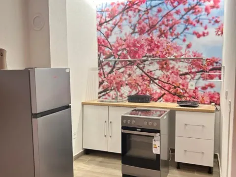 Izdavanje, dvosoban stan, 91m², Konik, Podgorica - image 7