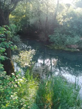 Pogled na rijeku okruženu drvećem. - image 4