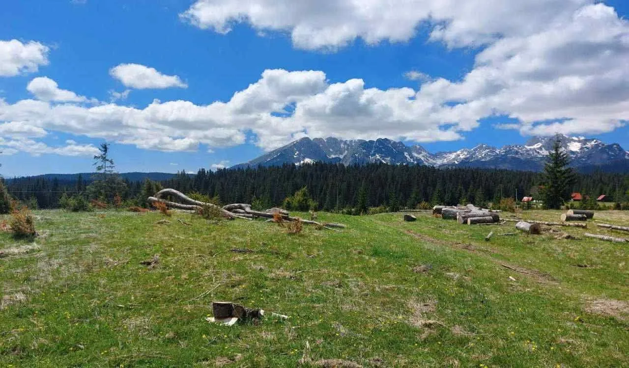 Sale, land lot, 17500m², Uskoci, Žabljak