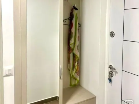 Izdavanje, jednosoban stan, 45m², Ljubović, Podgorica - image 6