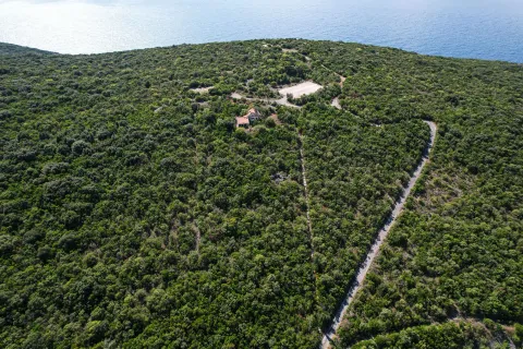 Pogled iz vazduha na veliki pošumljeni plac sa kućom i pristupnim putem blizu obale mora. - image 30