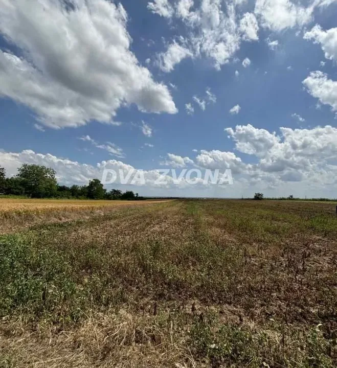Sale, land lot, 1000m², Čortanovci, Inđija