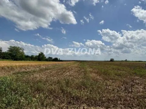 Prodaja, plac, 1000m², Čortanovci, Inđija - image 1