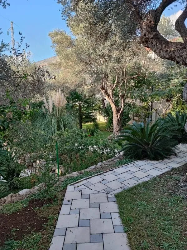 Sale, house, 350m², Bartula, Bar