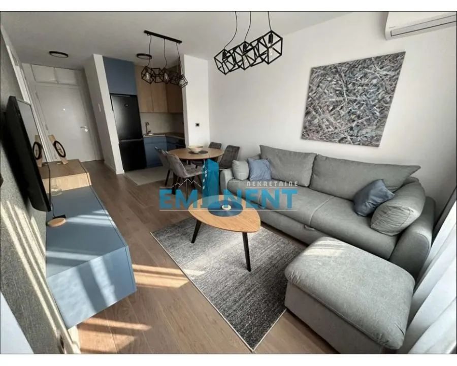 Izdavanje, dvosoban stan, 45m², Novi Beograd Blok 67, Novi Beograd Sve Podlokacije