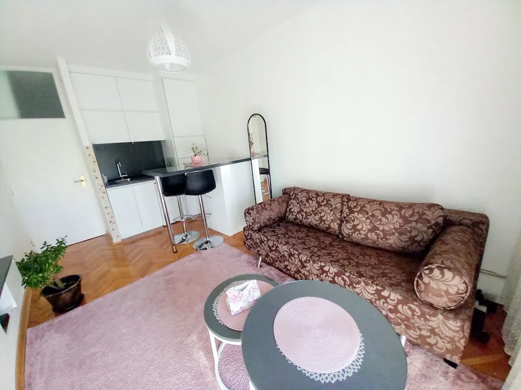 Izdavanje, jednosoban stan, 20m², Gintaš, Podgorica