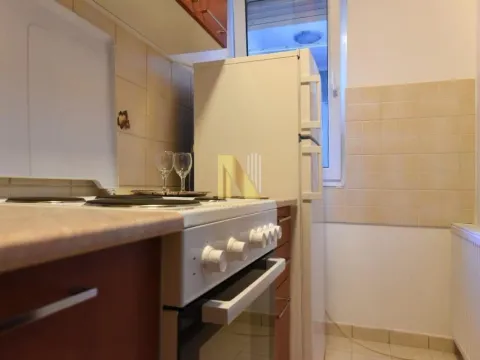 Izdavanje, dvosoban stan, 49m², Betanija, Novi Sad Sve Podlokacije - image 4