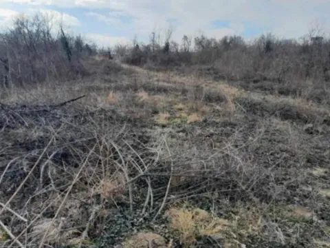 Prodaja, plac, 6400m², Plavinci, Grocka - image 7