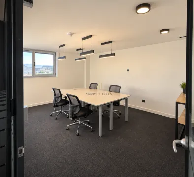 Rent, office space, 750m², Golubovci, Podgorica - image 14