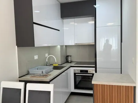 Izdavanje, jednosoban stan, 47m², Stari Aerodrom, Podgorica - image 2