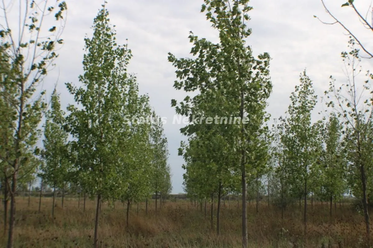 Prodaja, plac, 1378m², Zrenjanin, Srbija