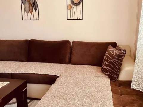 Rent, one bedroom apartment, 48m², Stari Aerodrom, Podgorica - image 4