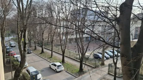 Pogled sa prozora na ulicu, drveće i školsko dvorište. - image 19