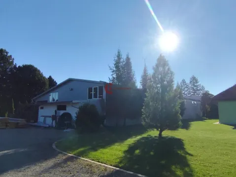 View of the courtyard and exterior of the house with trees and sunny weather. - image 3