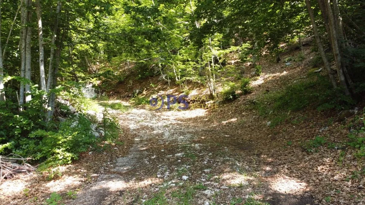 Prodaja, plac, 55000m², Cetinje, Crna Gora