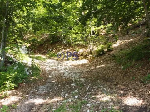 Prodaja, plac, 55000m², Cetinje, Crna Gora - image 3