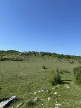 Pogled na zeleni travnati pejzaž i okolnu prirodu. - image 5