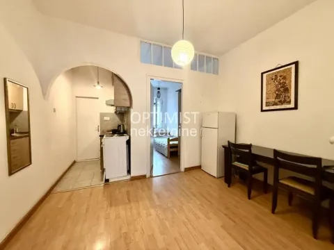 Izdavanje, jednosoban stan, 50m², Vračar Centar, Vračar Sve Podlokacije - image 4