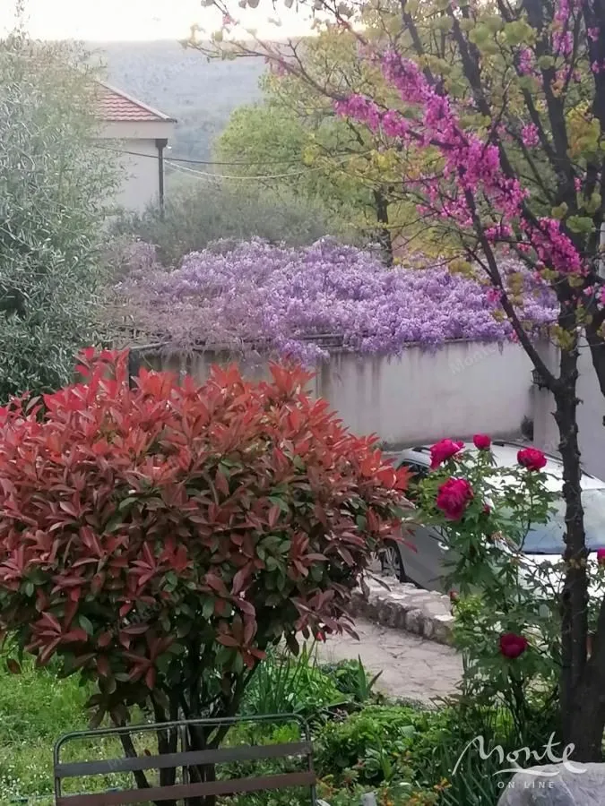 Prodaja, kuća, 350m², Velje Brdo, Podgorica
