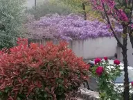 Sale, house, 350m², Velje Brdo, Podgorica - image 21