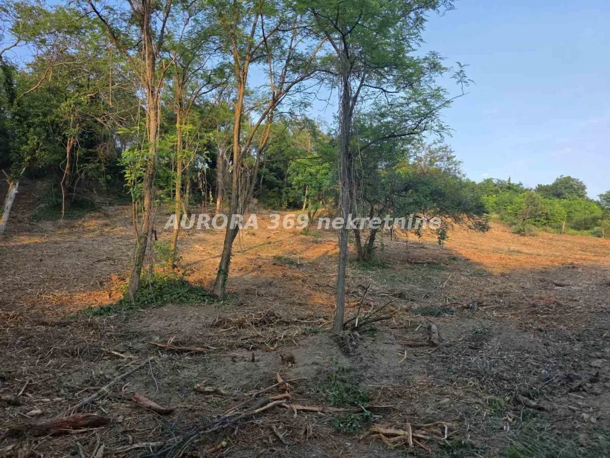 Prodaja, plac, 3729m², Sremska Kamenica, Petrovaradin