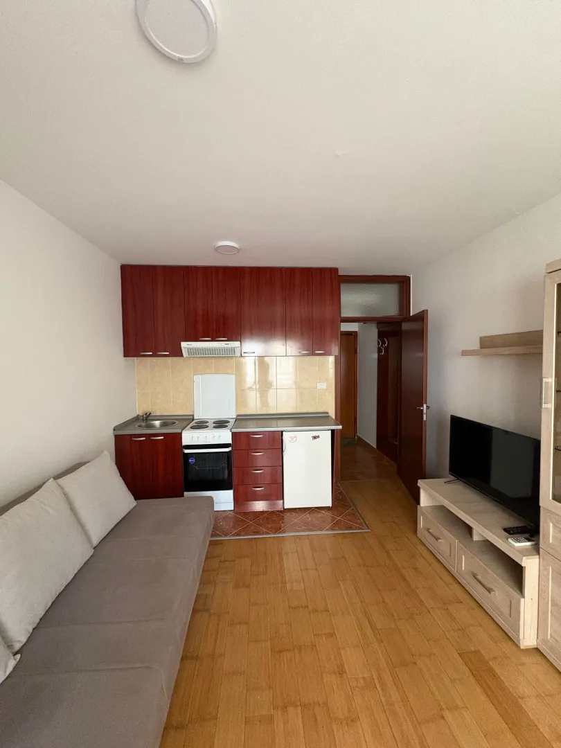 Living room with a kitchen in a single space.